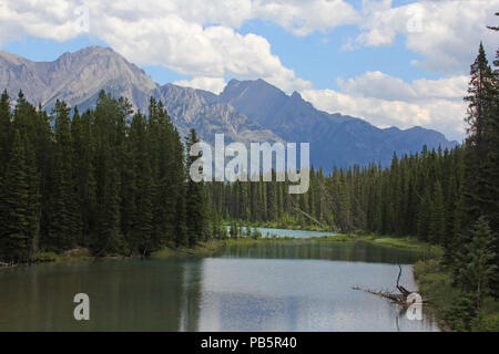 Bow River entlang der TransCanada Highway, Banff National Park, Alberta, Kanada, Stockfoto