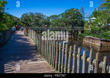 Promenade in der nativen Sumpf & Vogel rookery in St. Augustine Alligator Farm Tierpark in St Augustine Florida Stockfoto