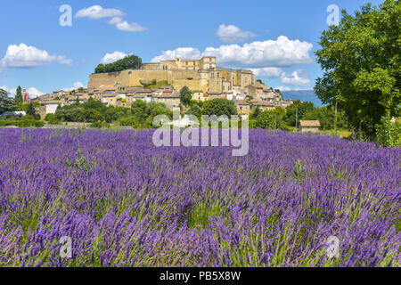 Dorf Grignan auf einem Hügel mit Lavendel, Provence, Frankreich, Dorf mit Schloss Château de Grignan, in Drôme gelegen, Region Auvergne-Rh ône Stockfoto