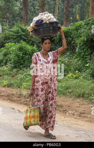 Naralapura, Karnataka, Indien - November 1, 2013: Junge Frau in braun-weiß Kleid trägt schwarze Schiff mit weisse Wäsche auf dem Kopf, Ba Stockfoto