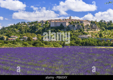 Dorf Sault liegt auf einem Hügel mit Lavendel Felder im Vordergrund, Provence, Frankreich, Departement Vaucluse, Region Provence-Alpes-Côte d'Azur Stockfoto