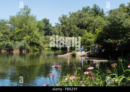 Der Teich und Gapstow Brücke sind ein beliebter Ort im Central Park, New York City, USA Stockfoto