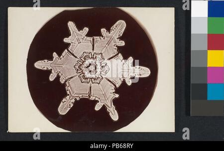 [Snow Crystal]. Artist: Wilson Alwyn Bentley (American, 1865-1931). Abmessungen: Bild: 3. × 3 1/8 in. (7,6 x 8 cm): 3 x 4-in. (7,6 × 10,1 cm). Datum: 1890S-1920s. Museum: Metropolitan Museum of Art, New York, USA. Stockfoto