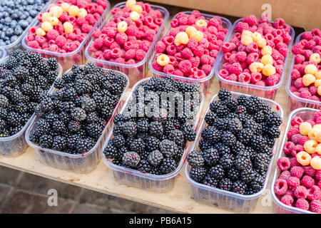 Frische Beeren, Brombeeren und rote und gelbe Himbeeren in Kunststoffkästen auf der Zähler für Verkauf Stockfoto