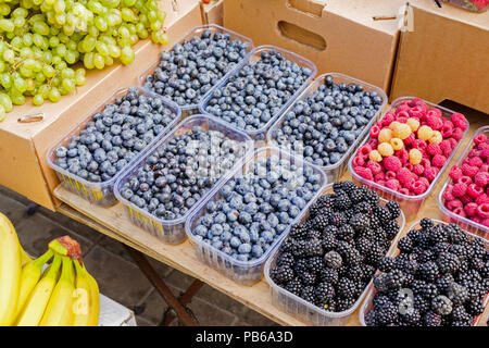 Reif frische Beeren, Heidelbeeren, Brombeeren und Himbeeren in Kunststoffkästen auf der Zähler für Verkauf Stockfoto