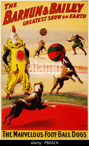 1655 Die wunderbare Fuß-ball Hunde Poster für Barnum & Amp; Bailey, 1900 Stockfoto