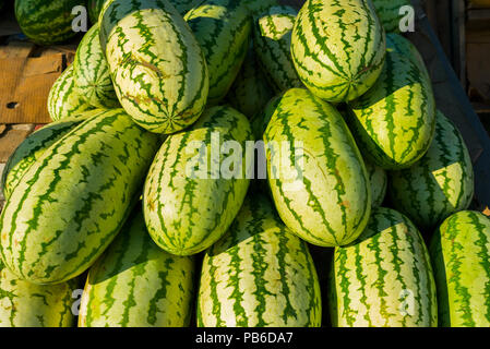 Viele reife Wassermelonen auf dem Markt Stockfoto