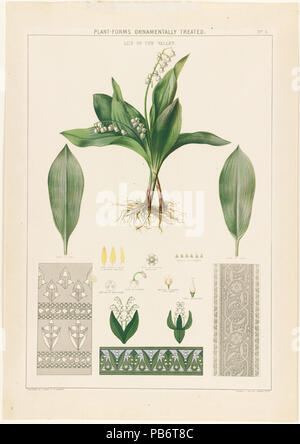 1204 Plant-Forms Ornamental behandelt - Lilie des Tales von der Boston Public Library Stockfoto