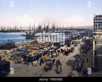 . Englisch: Kai de la Joliette, Marseille, Frankreich Français: Marseille: Quai de la Joliette et Messageries Maritimes Drucken. '9500'. Zwischen 1890 und 1905 1000 Marseille - Quai de la Joliette Stockfoto