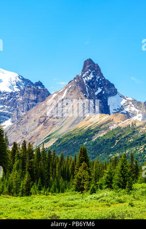 Hilda Peak als von Parker Ridge Wanderweg im Jasper Nationalpark auf dem Icefields Parkway gesehen. Stockfoto