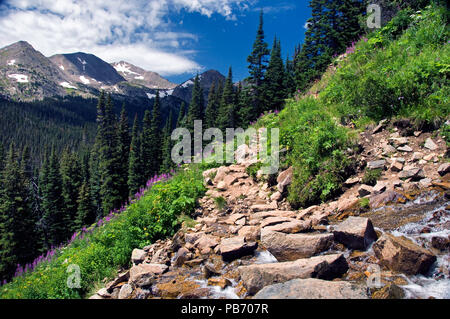 Wandern der 4. Juli Trail in den Arapaho National Forest Stockfoto