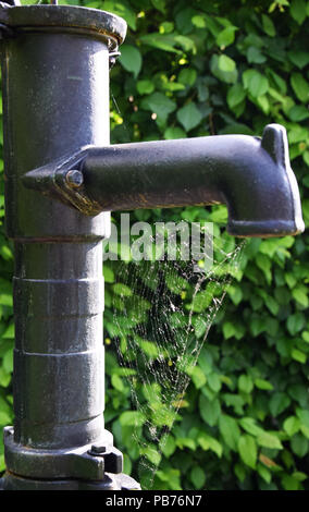 Alte Wasserpumpe mit Spiderweb und grüne Büsche im Hintergrund - Garten Stockfoto