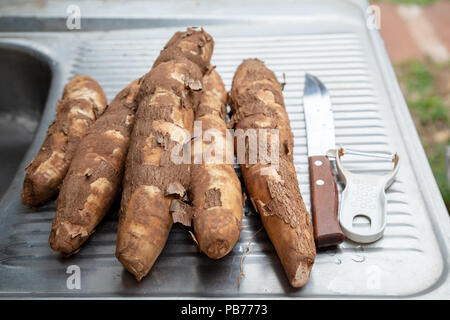 Maniok (Manihot esculenta) (Spanisch: mandioca, Guarani: mandi'o), unverarbeitete Wurzeln, Messer, Schäler auf Waschmaschine Spülbecken, Draußen, Asuncion, Paraguay Stockfoto