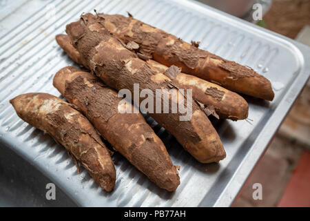 Maniok (Manihot esculenta) (Spanisch: mandioca, Guarani: mandi'o), unverarbeitete Wurzeln auf Waschmaschine Spülbecken, Draußen, Asuncion, Paraguay Stockfoto