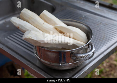 Maniok (Manihot esculenta) (Spanisch: mandioca, Guarani: mandi'o), wurzeln in der Schüssel geschält, auf Waschmaschine Spülbecken, Draußen, Asuncion, Paraguay Stockfoto