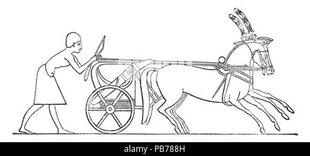 792 Illustrerad Verldshistoria band ich Krank 014 Stockfoto