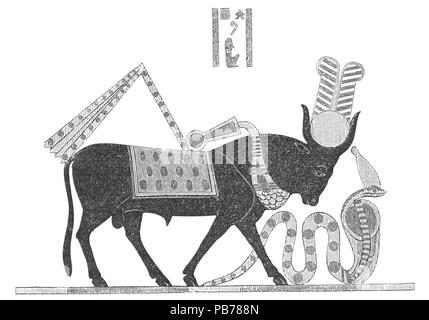 792 Illustrerad Verldshistoria band ich Krank 017 Stockfoto