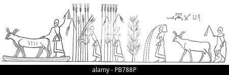 792 Illustrerad Verldshistoria band ich Krank 018 Stockfoto