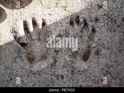 Impressum für die Hände eines Erwachsenen in Beton Stockfoto