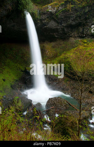 Norden fällt, Silver Falls State Park, Oregon Stockfoto