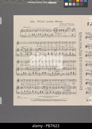 1078 My Wild Irish Rose (NYPL Hades -609715-1990490) Stockfoto