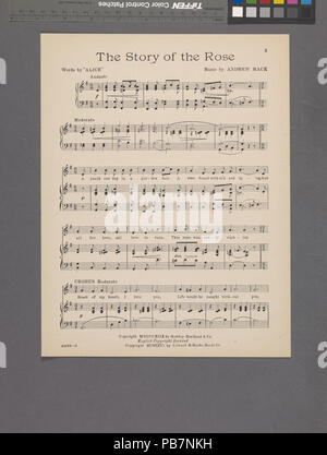 1704 Die Geschichte der Rose (NYPL Hades -609571-1997439) Stockfoto