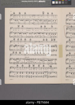1704 Die Geschichte der Rose (NYPL Hades -609572-1997447) Stockfoto