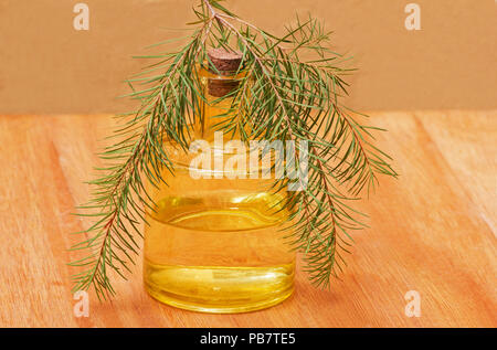 Melaleuca alternifolia ätherisches Öl und Blätter auf hölzernen Tisch Stockfoto