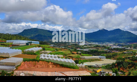 Gemüse Plantagen in Dalat, Vietnam. Da Lat liegt 1500 m über dem Meeresspiegel auf dem langbian Hochebene gelegen. Stockfoto