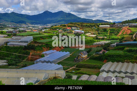 Gemüse Plantagen in Dalat, Vietnam. Da Lat liegt 1500 m über dem Meeresspiegel auf dem langbian Hochebene gelegen. Stockfoto