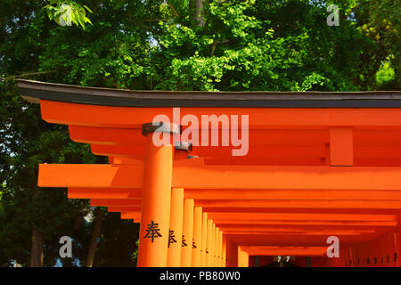 Izumi Schrein, Präfektur Kumamoto, Japan Stockfoto