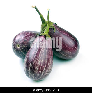 Aubergine Sorten von Graffiti auf weißem Hintergrund Stockfoto