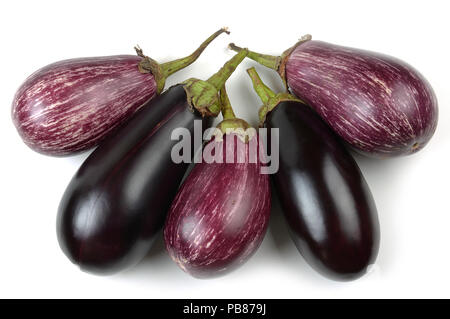 Aubergine Sorten von Graffiti auf weißem Hintergrund Stockfoto