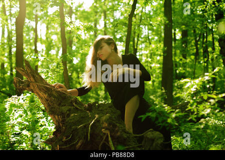 Mädchen in einem Laubwald befindet sich auf einen umgestürzten Baum im Sommer an einem sonnigen Tag Stockfoto