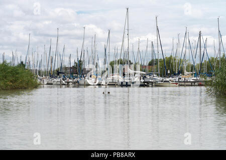 Günstig Yachten und Segelboote am Segelhafen West, Burgenland, Österreich Stockfoto