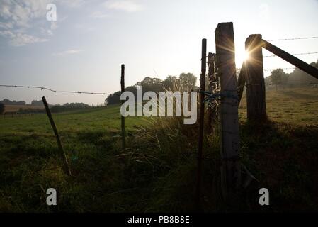 Zaun Beiträge: Die Ecke Beiträge von zwei feilds treffen, wie die Abendsonne hinter Ihnen und der Landschaft im ländlichen Raum Stockfoto