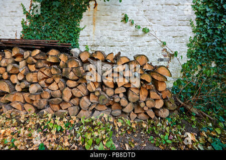 Stapel aus Baumstämmen gegen grungy und rustikale Mauer Stockfoto