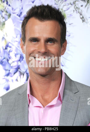 Beverly Hills, Kalifornien, USA. 26. Juli, 2018. Schauspieler Cameron Mathison besucht Hallmark Channel und Markenzeichen Filme & Geheimnisse Sommer 2018 Television Critics Association Press Tour Event am 26. Juli 2018 an den privaten Wohnsitz in Beverly Hills, Kalifornien. Foto von Barry King/Alamy leben Nachrichten Stockfoto