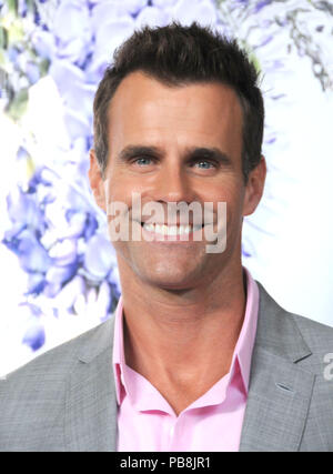 Beverly Hills, Kalifornien, USA. 26. Juli, 2018. Schauspieler Cameron Mathison besucht Hallmark Channel und Markenzeichen Filme & Geheimnisse Sommer 2018 Television Critics Association Press Tour Event am 26. Juli 2018 an den privaten Wohnsitz in Beverly Hills, Kalifornien. Foto von Barry King/Alamy leben Nachrichten Stockfoto