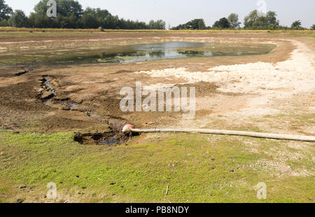 Sutton, Suffolk, Großbritannien. Vom 27. Juli 2018 niedriger Wasserstand in der landwirtschaftlichen Bewässerung See nach langen Sommer dürre, Sutton, Suffolk, England, Grossbritannien Credit: geogphotos/Alamy leben Nachrichten Stockfoto