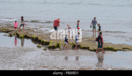 Lyme Regis, Dorset, Großbritannien. Juli 2018. UK Wetter: Heiß und klebrig in Lyme Regis. Britische Urlauber fahren in den Badeort Lyme Regis, um den schönen Strand zu genießen, während das Vereinigte Königreich in heißen und schwül Temperaturen schwelgt. Das Quecksilber wird heute in Teilen Großbritanniens seinen Höhepunkt erreichen, da der „Ofenfreitag“ heiße und donnernden Bedingungen mit sich bringt. Quelle: DWR/Alamy Live News Stockfoto