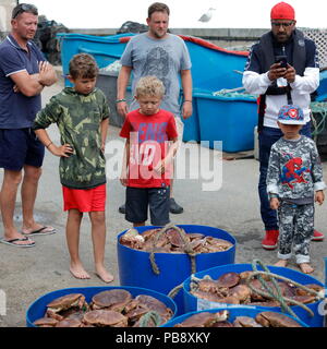 Newquay, Cornwall, England. 27. Juli, 2018. Krabbe Fischern und Touristen interagieren im Hafen von Newquay. Als auch für den Tourismus, der Hafen ist ein aktives Zentrum der kommerziellen Fischerei, die Krebse und Fische zu lokalen Restaurants. Credit: Nicholas Burningham/Alamy leben Nachrichten Stockfoto