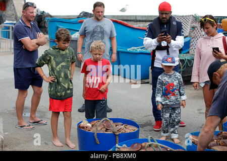 Newquay, Cornwall, England. 27. Juli, 2018. Krabbe Fischern und Touristen interagieren im Hafen von Newquay. Als auch für den Tourismus, der Hafen ist ein aktives Zentrum der kommerziellen Fischerei, die Krebse und Fische zu lokalen Restaurants. Credit: Nicholas Burningham/Alamy leben Nachrichten Stockfoto