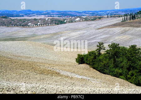 In San Quirico d'Orcia - Italien - Am 30/08/2012 - Landschaft der Crete Senesi im Sommer Stockfoto