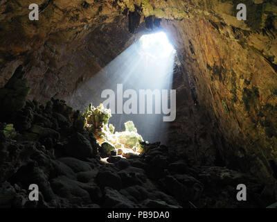 Licht in der Höhle Grotte di Castellana, Castellana Grotte, Provinz Bari, Apulien, Italien fallen Stockfoto