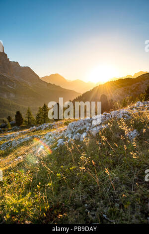 Sonnenaufgang vor berg Silhouette mit Bergwiese, Blick auf den Monte Cristallo, Passo Falzarego, Passo Falzarego Pass Stockfoto