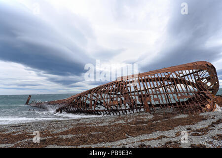 Wrack der Botschafter, San Gregorio, Punta Arenas, Magellanstraße, Patagonien, Chile Stockfoto