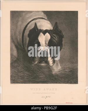 1852 Hellwach LCCN 2003664227 Stockfoto