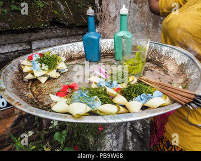 Balinesische Frau mit einem Fach mit Angeboten und neuen canang Sari, Ubud, Bali Stockfoto