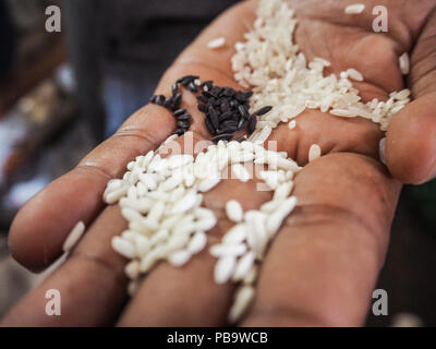 Asiatische Mann mit schwarzen und weißen Reis in der Hand auf dem Markt in Ubud, Bali, Indonesien Stockfoto